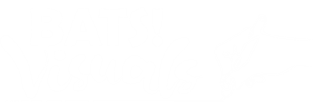 Logo BATS! Visuals